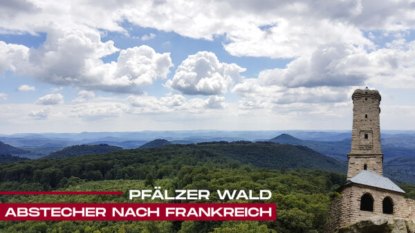 Abstecher nach Frankreich – Pfälzer Wald